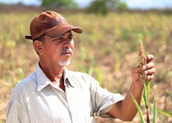 (Foto: André Gurjão/Governo do Ceará)