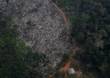 Desmatamento na Amazônia volta a bater recorde e cresce 9,5% de 2019 a 2020