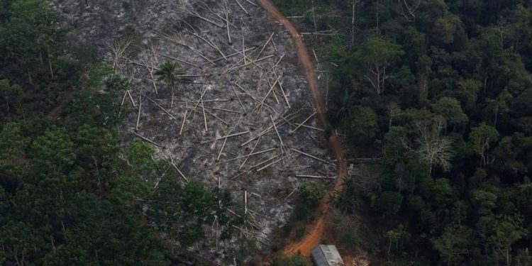 Desmatamento na Amazônia volta a bater recorde e cresce 9,5% de 2019 a 2020