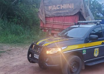 Madeira nativa é apreendida em Tianguá, no Ceará, após motorista apresentar documento irregular (Foto: Reprodução/PRF)