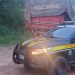 PRF apreende caminhão com carga irregular de madeira nativa na BR-222, em Tianguá