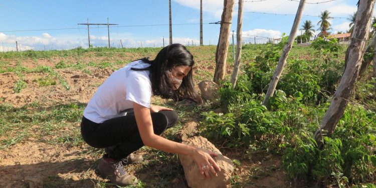 Em Brejo Santo, troncos fósseis revelam patrimônio paleontológico