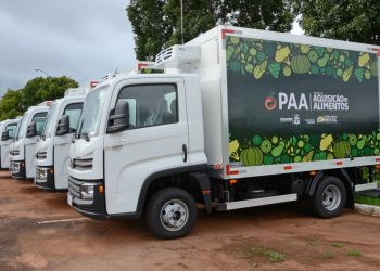 Mini caminhão furgão vai transportar produtos oriundos da agricultura familiar (Foto: Divulgação)