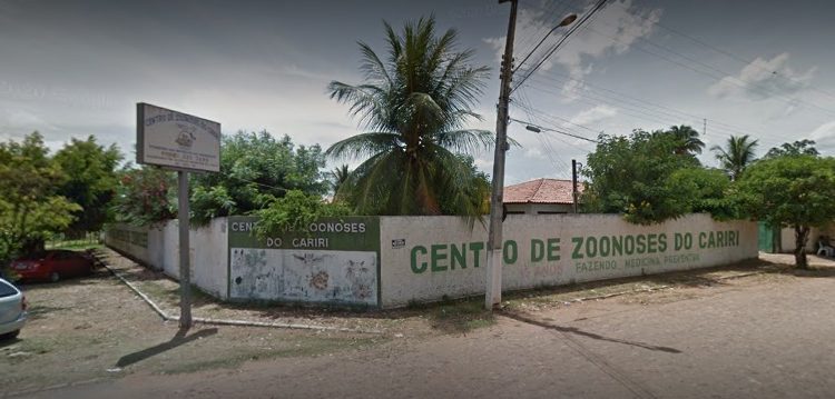Mesmo sadio, cão foi sacrificado no Centro de Zoonoses de Crato