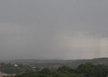 (Foto: Honório Barbosa)