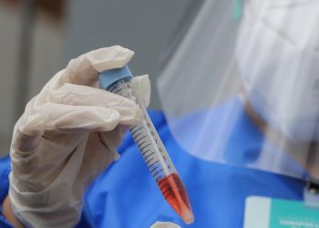 (Foto: José Leomar)