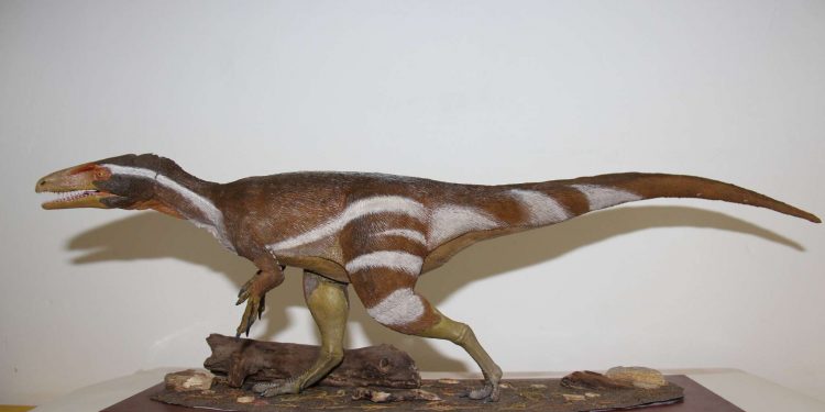 Fóssil de espécie de dinossauro mais antiga da Bacia do Araripe é devolvido ao Museu de Paleontologia da Urca