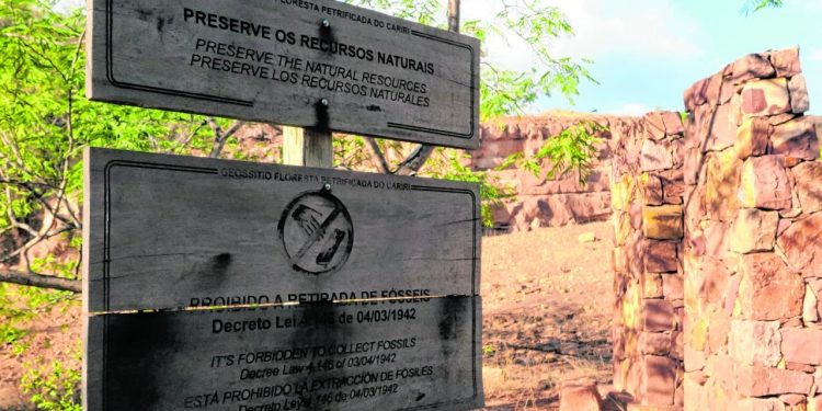 Rica em geoturismo, Floresta Petrificada ainda é pouco visitada