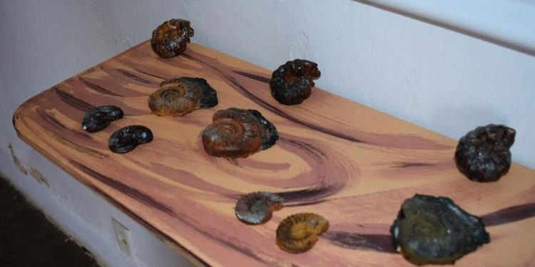 Pesquisadores encontram conjunto de fósseis de mais de 110 milhões de anos, em Salitre