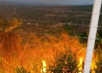 Área de vegetação é atingida por incêndio em bairro de Barbalha