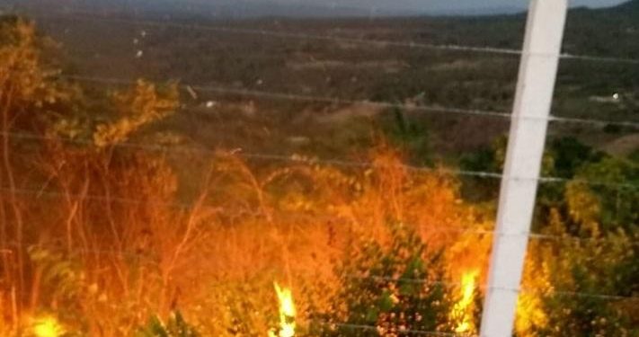 Área de vegetação é atingida por incêndio em bairro de Barbalha