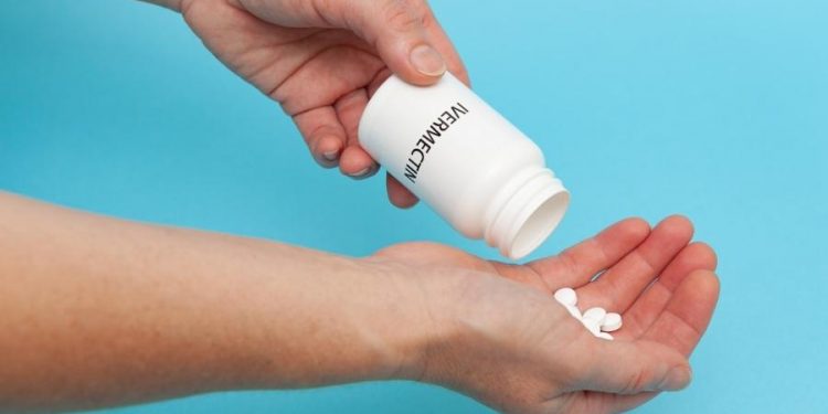 Ivermectina é bom para piolho, não para Covid-19; entenda o que se sabe