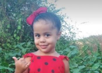 Maria Luiza Ferreira de Oliveira, 2 anos, estava em um carro acompanhada da mãe, do irmão e da tia quando o condutor perdeu o controle e o veículo capotou em Lavras da Mangabeira (Foto: Arquivo pessoal)