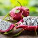 6 benefícios da pitaya para a sua saúde