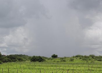 (Foto: Honório Barbosa)