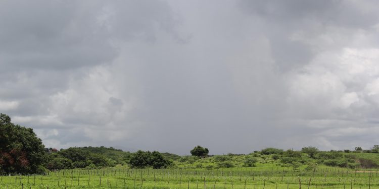 Chove em mais de 20 cidades cearenses; Cariri registra os maiores volumes