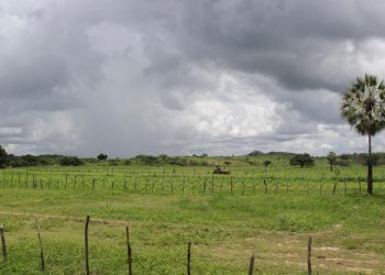 Proximidade da quadra chuvosa muda o clima e a paisagem no sertão