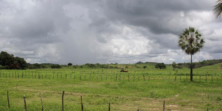Previsão aponta chuva dentro da média no 1º trimestre de 2021