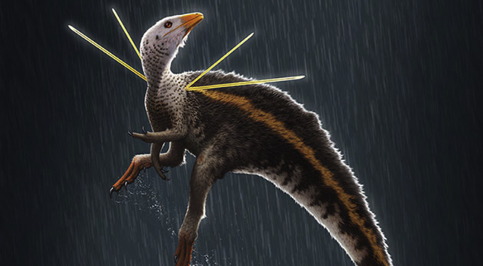 Nova espécie de dinossauro encontrada no Ceará é descrita por pesquisadores estrangeiros