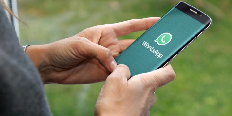 WhatsApp lança papéis de parede e recurso para pesquisar figurinhas