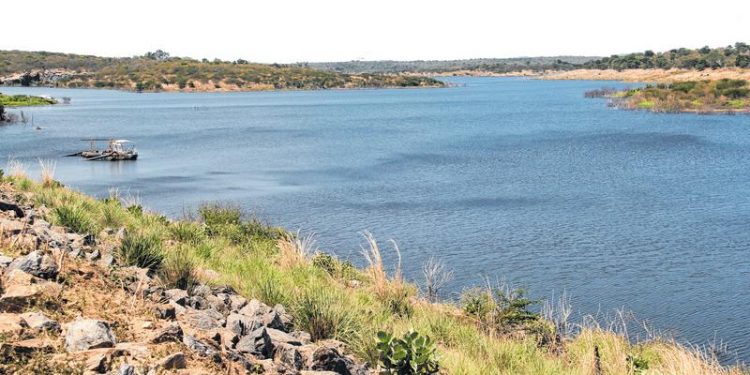 Açude Trussu, em Iguatu, está com 19% da capacidade de armazenamento de água (Foto: Honório Barbosa)