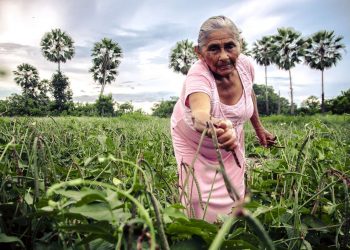 (Foto: André Gurjão/Governo do Ceará)