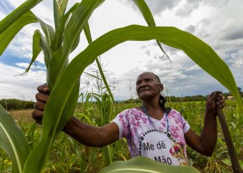 (Foto: Nivia Uchoa/Governo do Ceará)