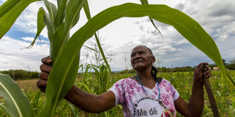 Camilo anuncia investimento de R$ 325 milhões para fortalecer ações produtivas do Projeto São José