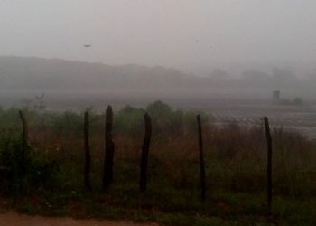 (Foto: Andressa Sousa)