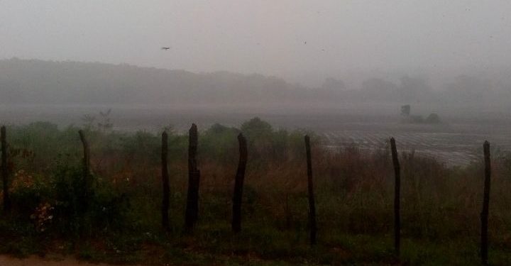 Cariri concentra maiores precipitações em 24h; pelo menos 46 municípios registram chuva