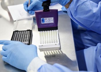 (Foto: Tatiana Fortes/Governo do Ceará)