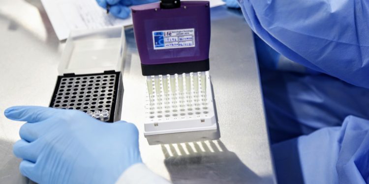 Cientistas do Ceará publicam artigo que pode ajudar pesquisas de remédios contra Covid-19