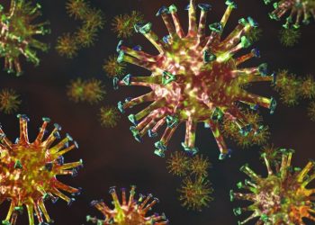 (Foto: Luis Barrucho/BBC News Brasil)