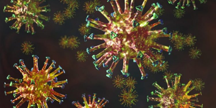 Brasil chega a 221 mil mortes causadas pela Covid-19