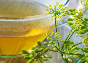 (Foto: Santje09/iStock)