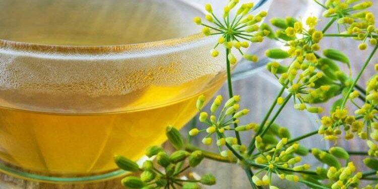 10 benefícios da erva-doce para sua saúde