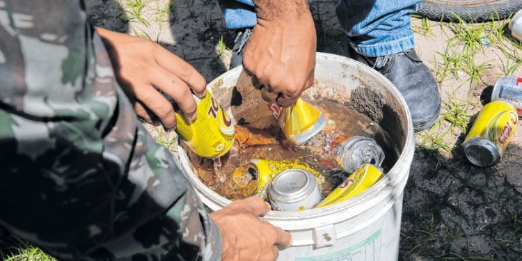 Oito cidades cearenses têm status de ‘ alerta’ para surto de dengue