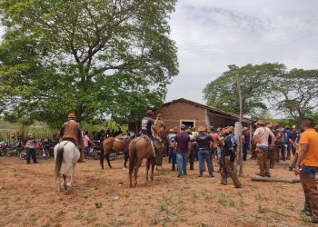 'Pega de boi' é encerrado na zona rural de Mauriti (Foto: Arquivo pessoal)