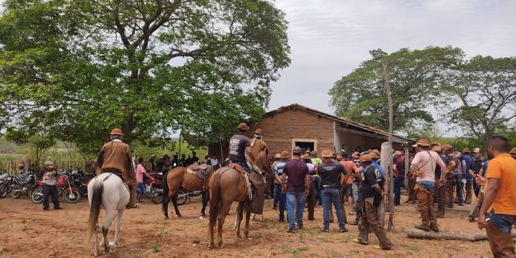 PM encerra evento de ‘pega de boi’ com cerca de 100 pessoas em Mauriti
