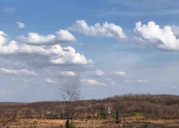 (Foto: Marciel Bezerra)