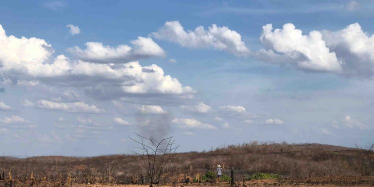 Garantia-Safra é liberado em parcela única para 13 municípios; veja lista