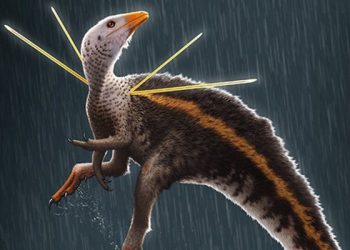 Entenda a polêmica do novo dinossauro brasileiro – descoberto por gringos