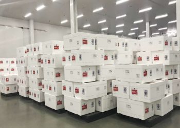 (Foto: Governo do Ceará)