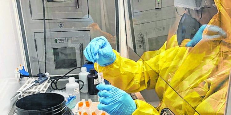 O que afeta a identificação de novas cepas do coronavírus no Ceará?