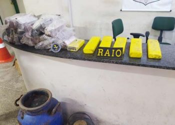 (Foto: Divulgação/SSPDS)