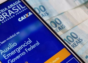 (Foto: Brenda Rocha/Shutterstock)