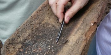 Ceará tem redução de 56,33% em diagnósticos de Doença de Chagas em cinco anos