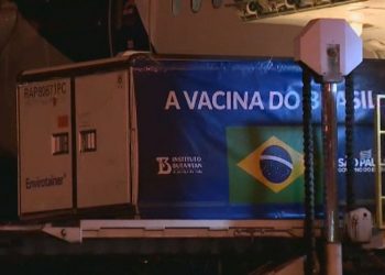 Vacinas desembarcaram no Aeroporto de Viracopos na noite desta quarta (4) (Foto: Tony Mendes/EPTV)