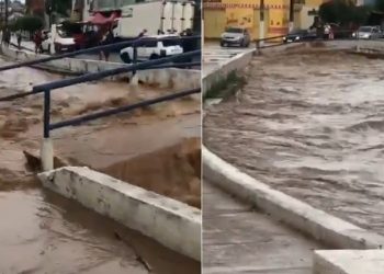 (Foto: Reprodução)