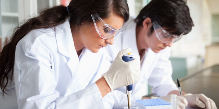 Vírus Nipah pode ser a próxima epidemia, alertam cientistas